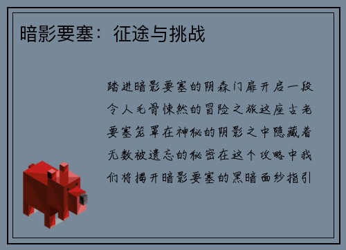暗影要塞：征途与挑战